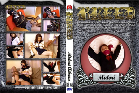 BREED-68 Midori bDVDt@C 