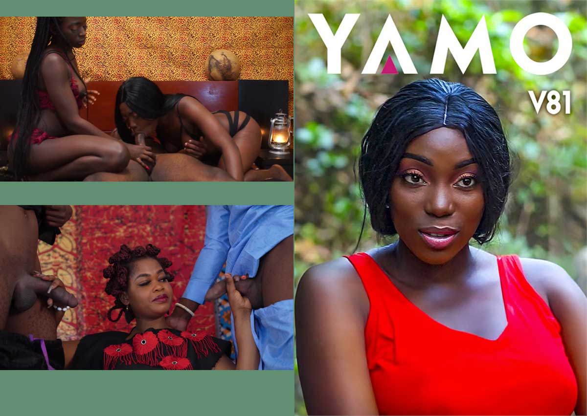 y5281 Yamo V81 �b��DVD�t�@�C�� 